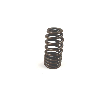 Engine Valve Spring